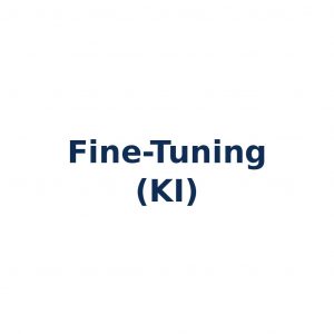 Fine-Tuning – gezielte Weiterentwicklung eines vortrainierten KI-Modells