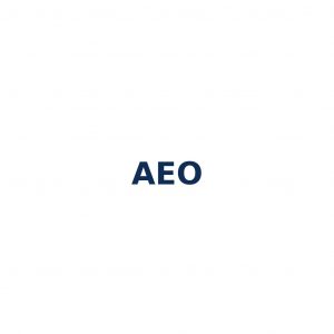 AEO – Answer Engine Optimization zur Optimierung für KI-gestützte Antwortsysteme