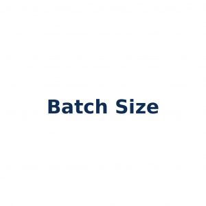 Batch Size – Anzahl der Trainingsbeispiele pro Trainingsdurchlauf