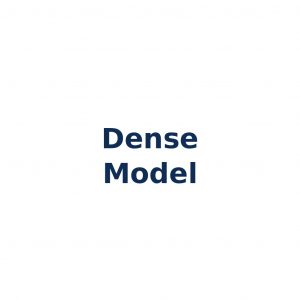 Dense Model – Modell mit vollständiger Parameteraktivierung