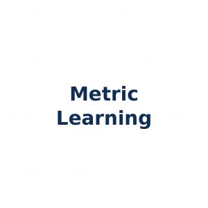 Metric Learning – Lernen von Distanzfunktionen zwischen Datenpunkten