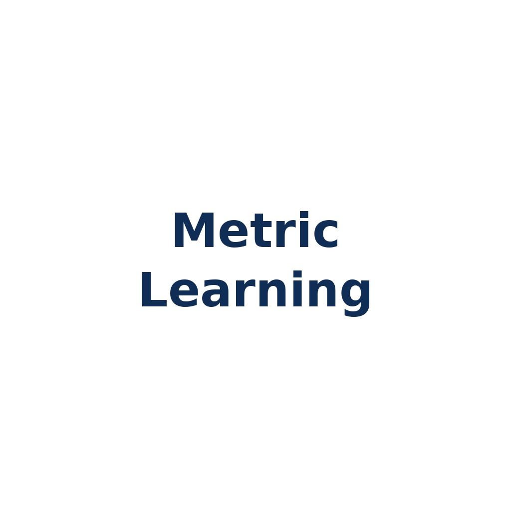 Metric Learning – Lernen von Distanzfunktionen zwischen Datenpunkten