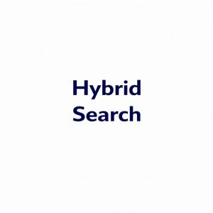 Hybrid Search – Kombination aus Suchmethoden