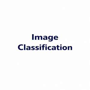 Image Classification – Einordnung von Bildern