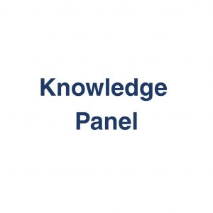 Knowledge Panel – Informationsbox in der Suche