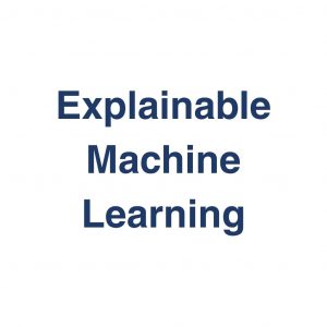 Explainable Machine Learning – Definition und Erklärung auf llm-marketing.de