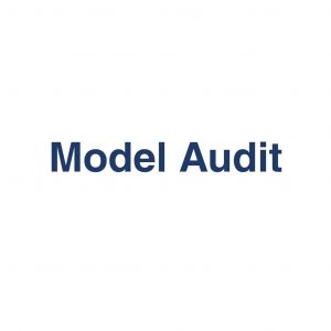 Model Audit – Definition und Erklärung auf llm-marketing.de