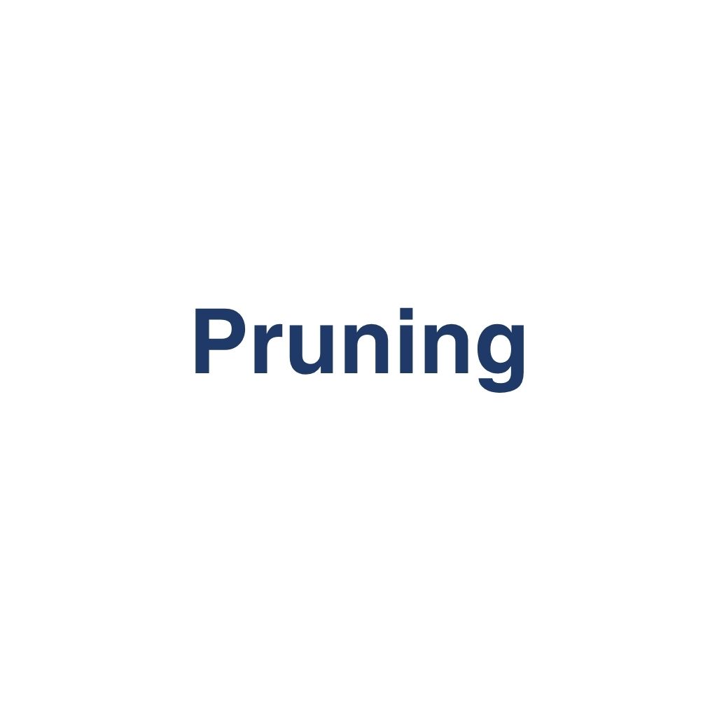 Pruning – Definition und Erklärung auf llm-marketing.de
